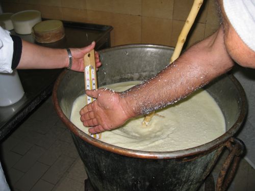 scuola di formaggio-17.JPG